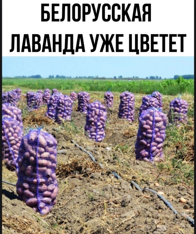 Картинки разные с надписями и без