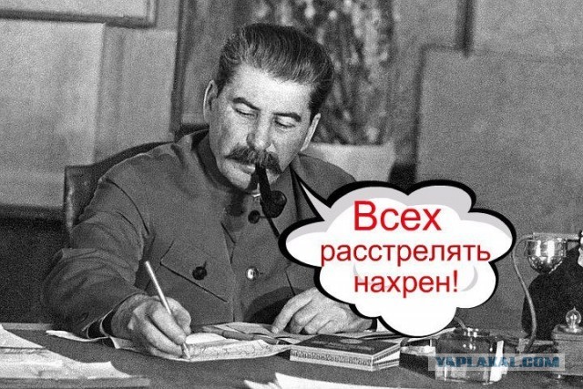 Семья террориста из Новосибирска просит его освобождения, ссылаясь на нищету и голод.