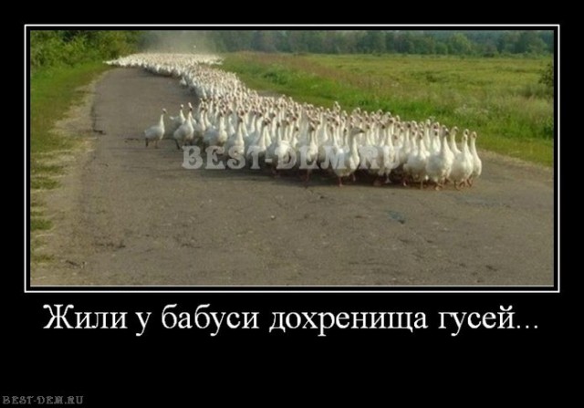 Надоела та бабуся - едем жить в город!⁠⁠