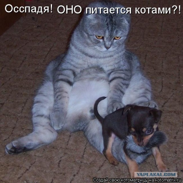 Домашнее насилие Василия