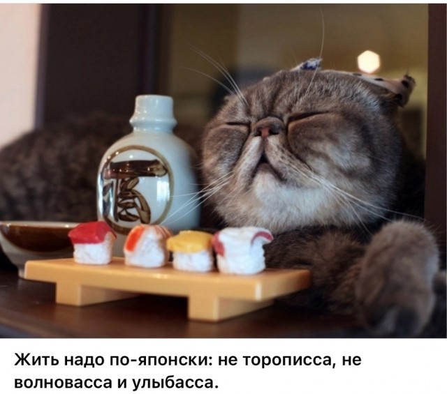Воскресные картинки
