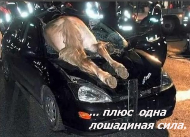 Легковушка врезалась в табун лошадей