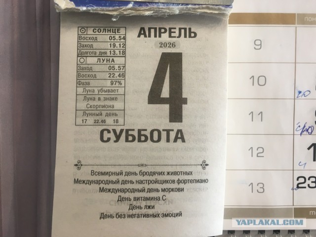 Всемирный день крысы отмечается сегодня