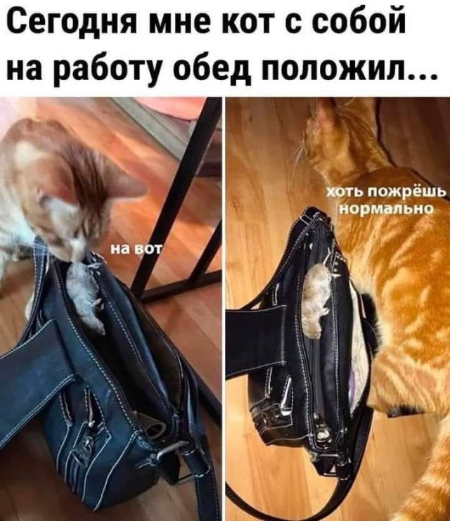 Веселые картинки в маленькую пятницу (13.05)
