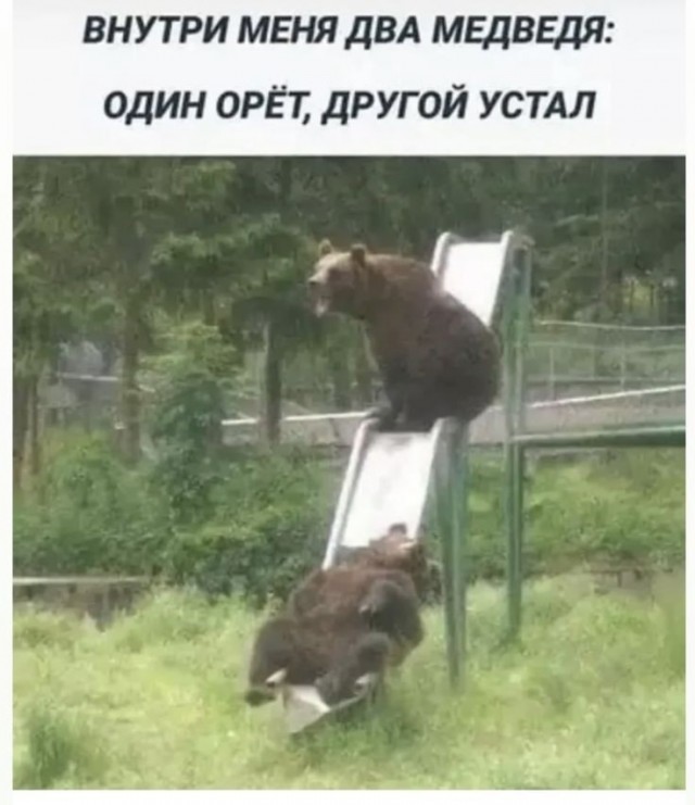 Быть дегенератом не только весело, но и полезно