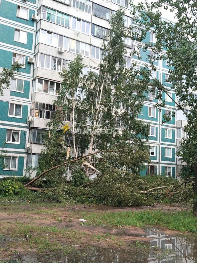 Последствия сегодняшнего шторма в Ульяновске