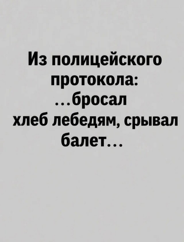 Картинки для деградации 273 (разной степени свежести)