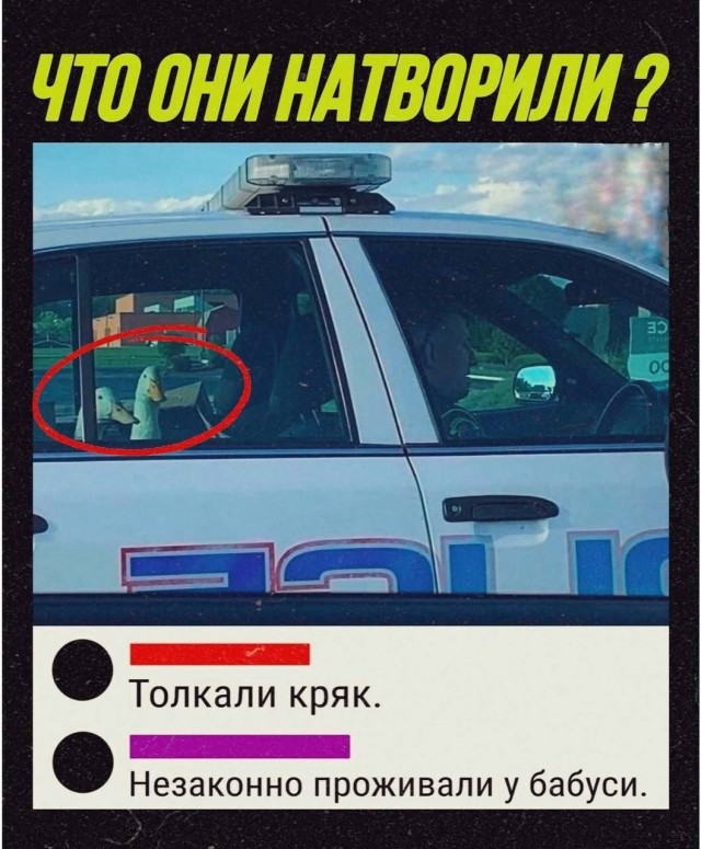 Картинки для деградации 302 (разной степени свежести)