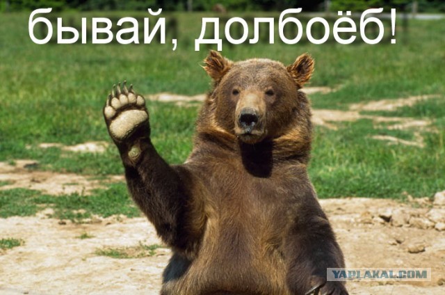 "Довыпендривался"
