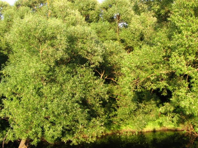 Поездка на Тамбовщину