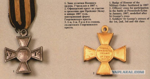Одесситки избили милиционеров цветами