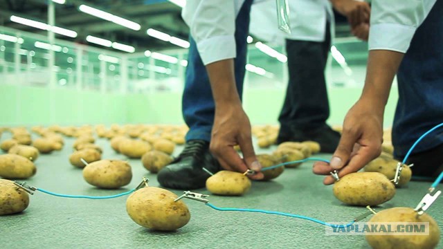 Россия может вырубить США электричество