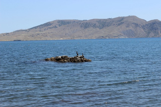 Отчёт о поездке в Крым 12.07 - 29.07