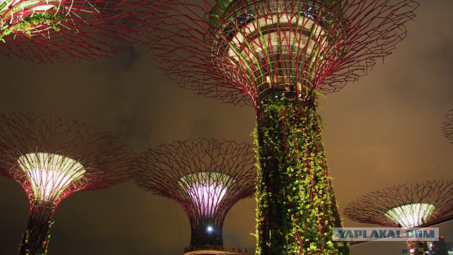 Сингапур. Гостиница "Марина Бэй"