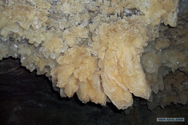 Пещера «Х»