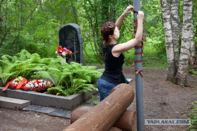 Две недели впечатлений.
