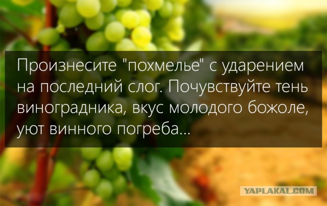 Хлеб из мяса  (лечение похмелья нетрадиционным способом)