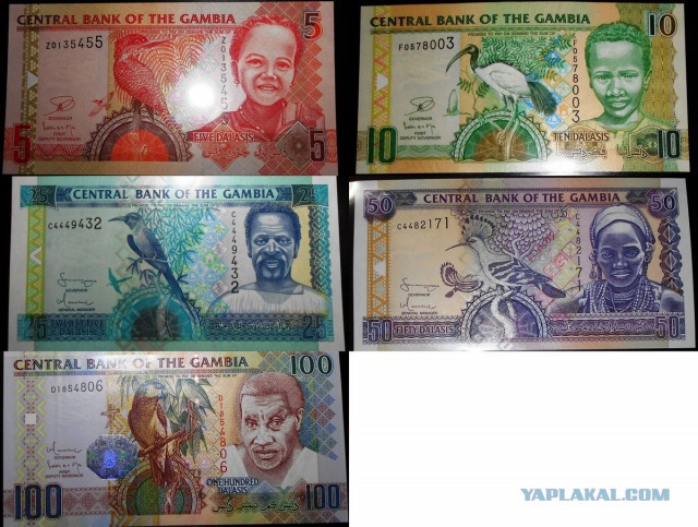 Самые красивые банкноты мира