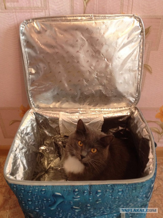Я хочу так сидеть, не трогайте меня