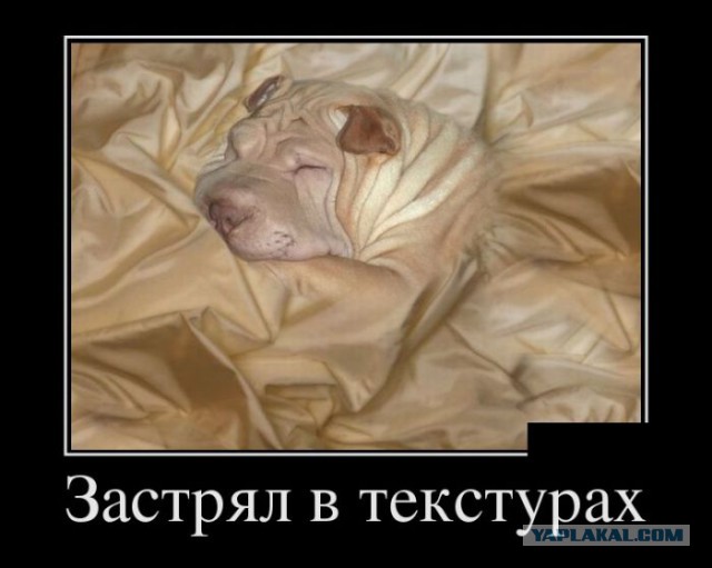Баяны в чёрных рамках