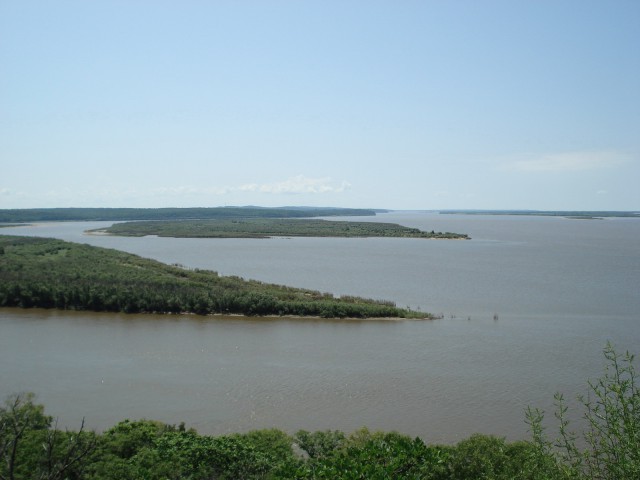 Сами с усами амурского сома