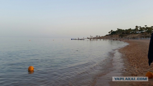 Депутат Госдумы попросила телеканалы меньше показывать россиянам заграничные красоты