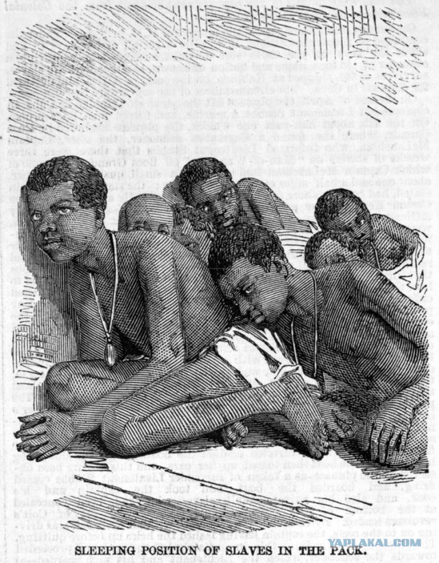 Рабство в США на иллюстрациях американских и европейских художников