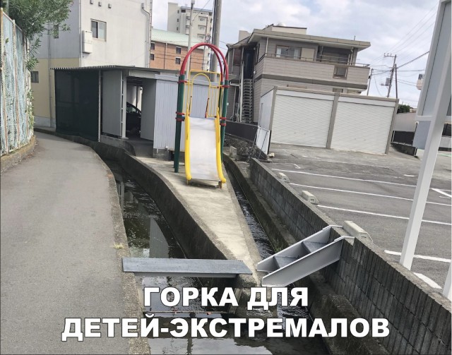 Подборка прикольных фоток