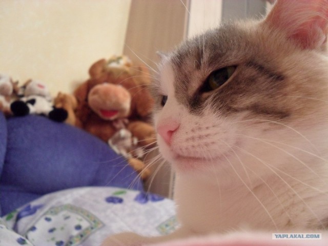 КОТовторник 13.04.2010г.