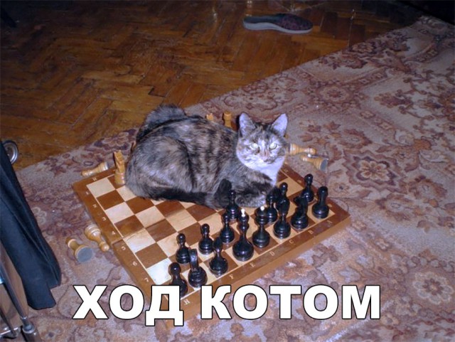 Нестандартный юмор
