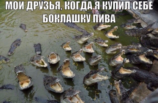 Нестандартный юмор