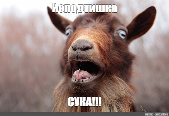 Какое-то животное избило козла на пляже из-за съеденных чипсов