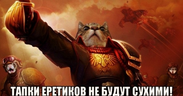 Картинки с котами и про котов