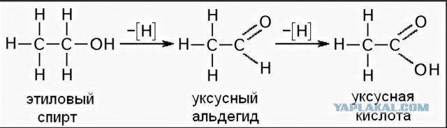 Почему нельзя закусывать алкоголь маринованными огурцами? А солеными - можно