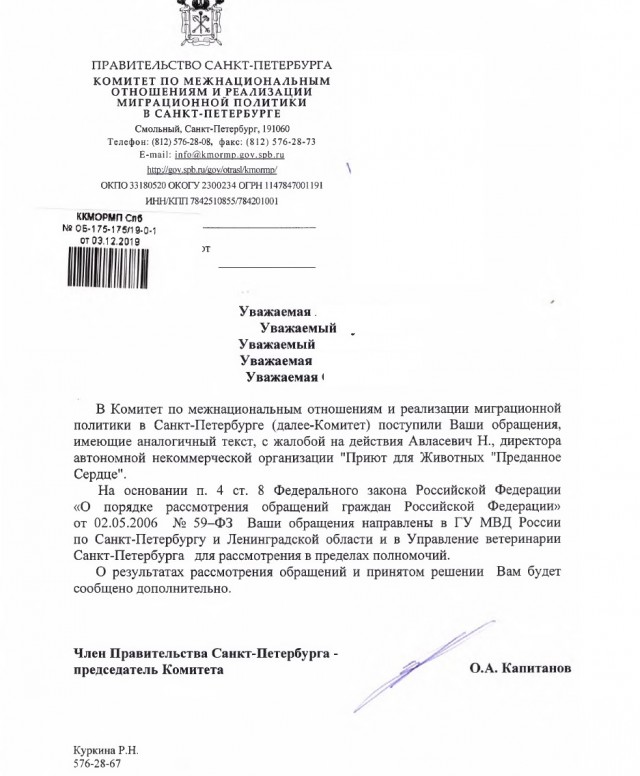 Помогите вернуть кота! Приют "Преданное сердце" украл кота и не отдает!-2