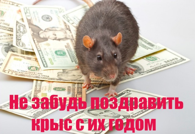 Бредзона 29.12.19