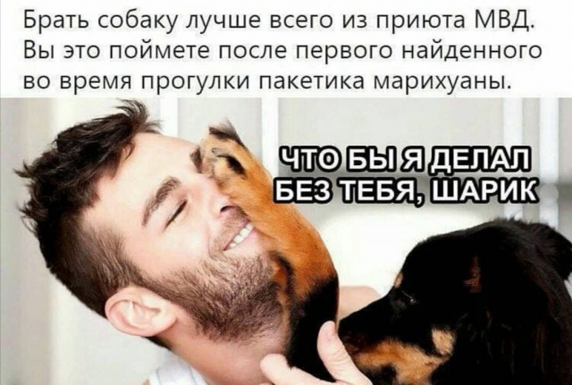 Свинегрет: картинки, надписи и прочее 05.02.20
