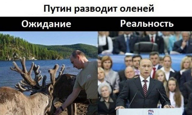 Обращение Путина от 30 июня перед голосованием по поправкам в Конституцию на фоне Ржевского мемориала в Тверской области