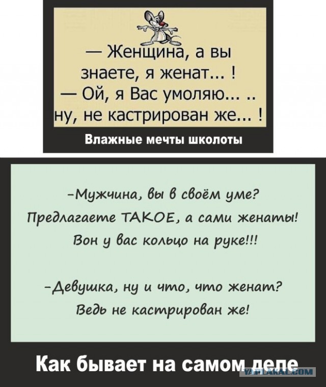 Веселые истории о нас №237