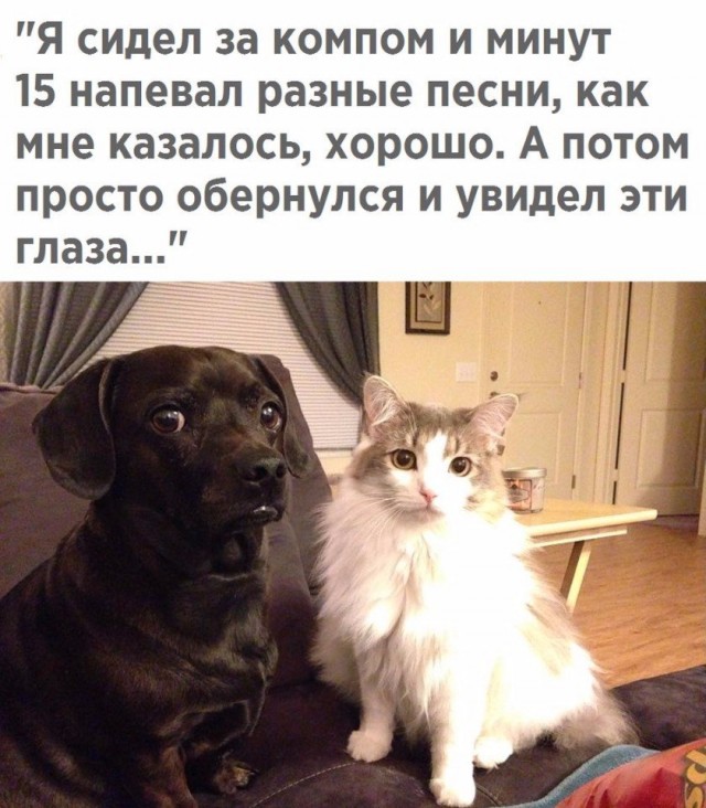 Картинки с надписями и всякие жизненные фразы 25.01.21