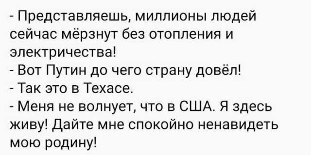 Коты в Техасе в шоке после недавних холодов