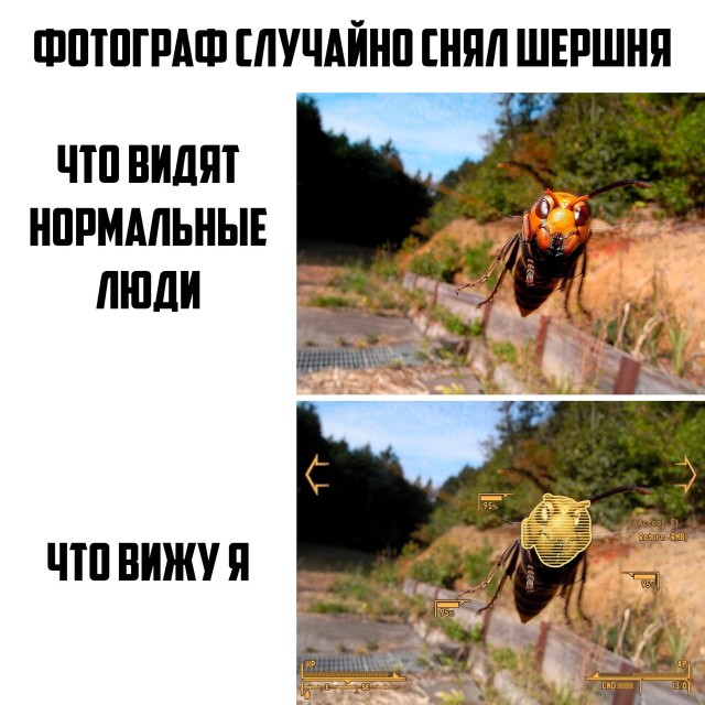 Так себе картинки 11.07.21