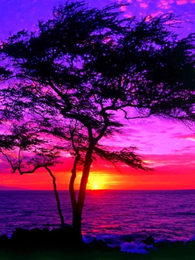 Упоротый Джа-дзен-пост