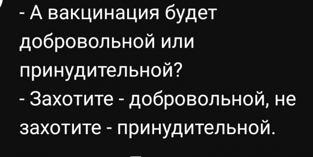 В Нижнем Новгороде приказано привиться от COVID-19 преподавателям и ученым