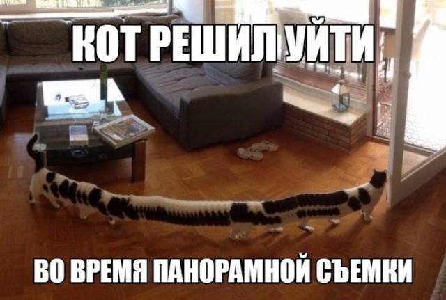 Так себе картинки 08.11.21