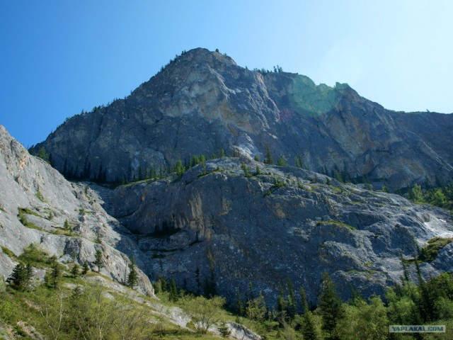 В ноябре на Алтае 2010г.