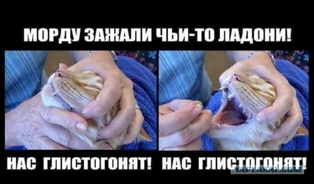 Что стало с бывшим продюсером группы «t.A.T.u» Иваном Шаповаловым