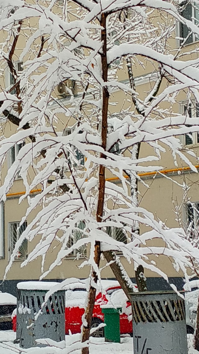 Фотки с телефона.