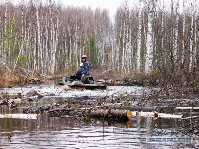 Васюганские болота: крупнейшая топь в мире, которая охватывает 5 областей России
