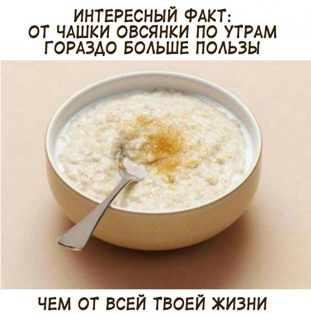 Картинки и мемы для настроения - 29